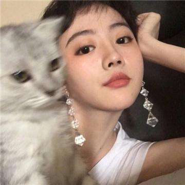 果盘风车之家手游下载